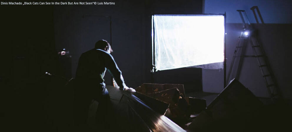 Co-production "Black Cats Can See In The Dark But Are Not Seen" by Dinis Machado (PT) Co-production "Black Cats Can See In The Dark But Are Not Seen" by Dinis Machado (PT)