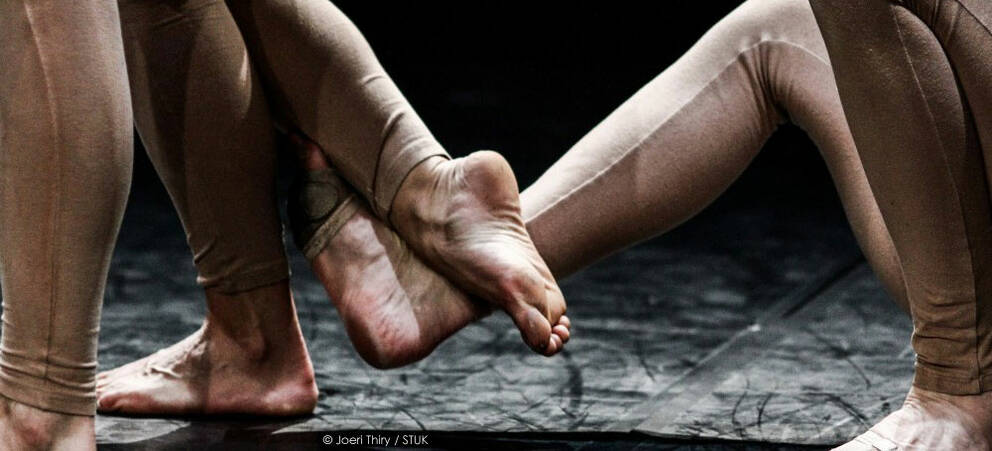 Co-production "UNISON" by Cecilia Lisa Eliceche (BE/IT/AR) Co-production "UNISON" by Cecilia Lisa Eliceche (BE/IT/AR)