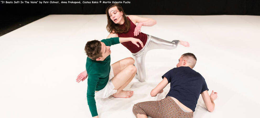 Co-production "It Beats Soft In The Veins" by Petr Ochvat, Anna Prokopová and Costas Kekis Co-production "It Beats Soft In The Veins" by Petr Ochvat, Anna Prokopová and Costas Kekis