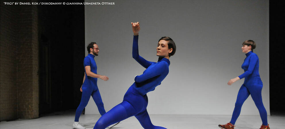 PREMIERE "PIIGS" by Daniel Kok / Diskodanny PREMIERE "PIIGS" by Daniel Kok / Diskodanny